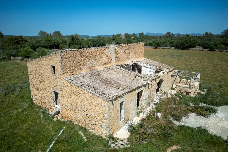 Old finca to renovate between Felanitx and Vilafranca — photo 8