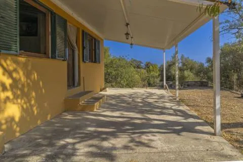 Detached house — photo 3