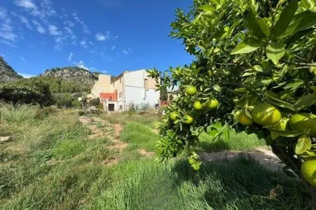Urban Plot of Land - Selva (Caimari) — photo 3