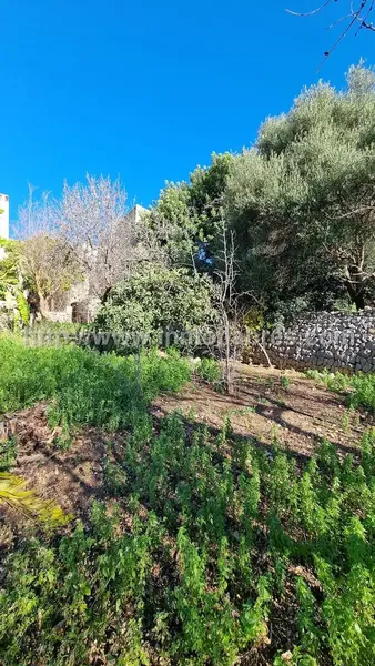 Encantadora casa de pueblo situada en el pintoresco pueblo de Campanet, en las Islas Baleares. Esta vivienda, construida en el año 1900, ofr — photo 6