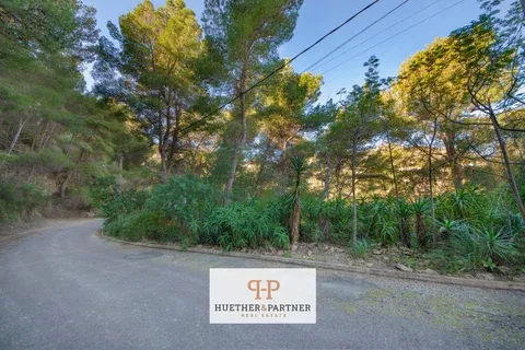 Land in Canyamel, Mallorca — photo 11