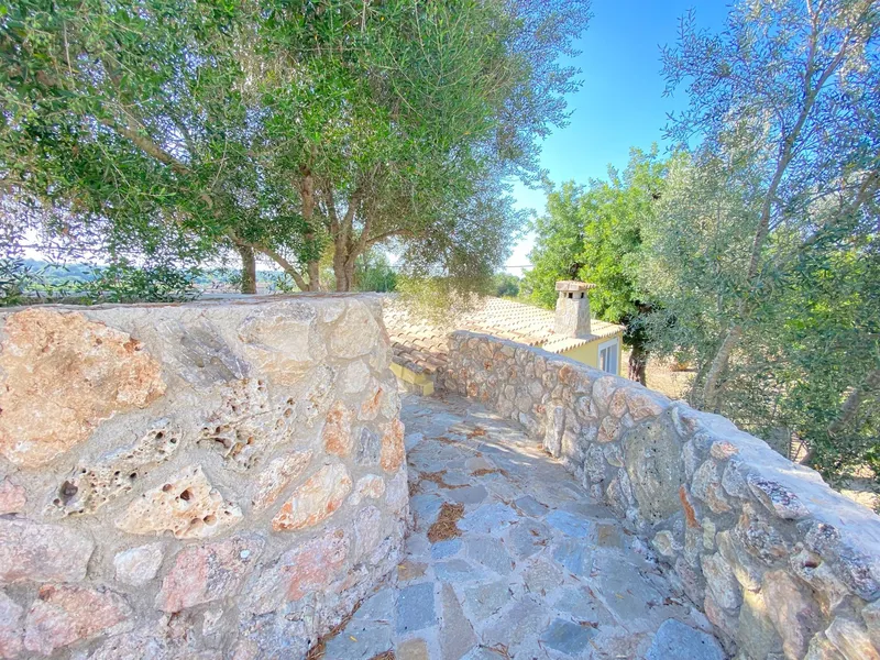 House / Chalet in Costitx — photo 10
