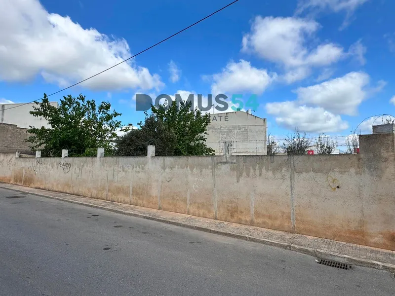 plot in Sa Pobla — photo 3