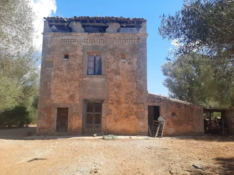 Large Mallorcan estate in Campos - 150,000 m² just 2 km from Es Trenc — photo 9