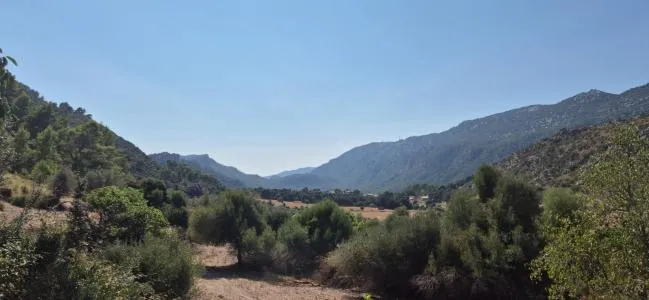 Urbanizable land - Bunyola — photo 2