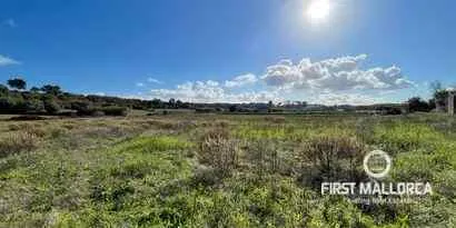 Real estate picture 0 Ref. No. 73251 — photo 9