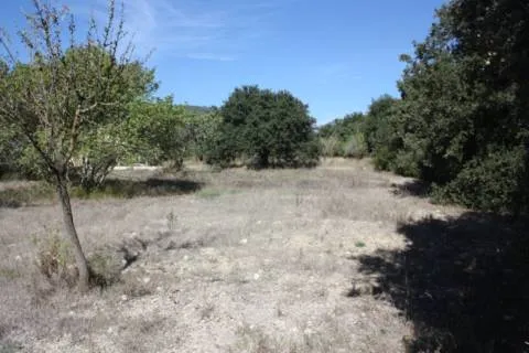 Plot — photo 5