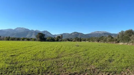 Plot of land - Selva, Plot Surface 14711m² — photo 5