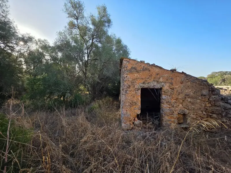 Located in an idyllic setting, surrounded by nature and a step from Costitx, we offer this rustic estate of about 36,000m2 populated with vegetation — photo 11