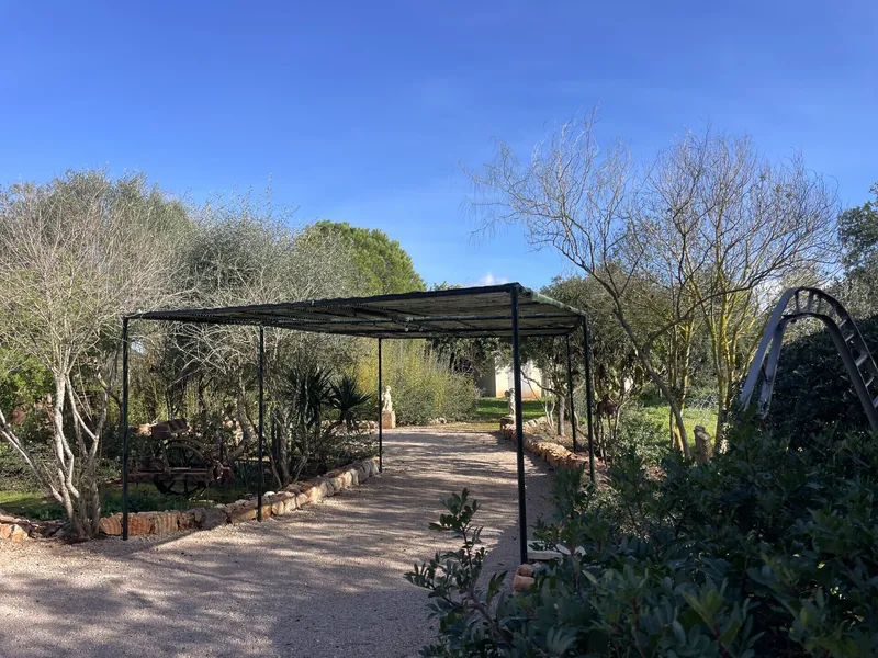 Beautiful natural stone finca with pool and holiday rental license near Llucmajor — photo 9