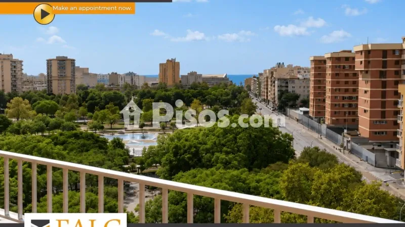 Apartment in Pere Garau — photo 2