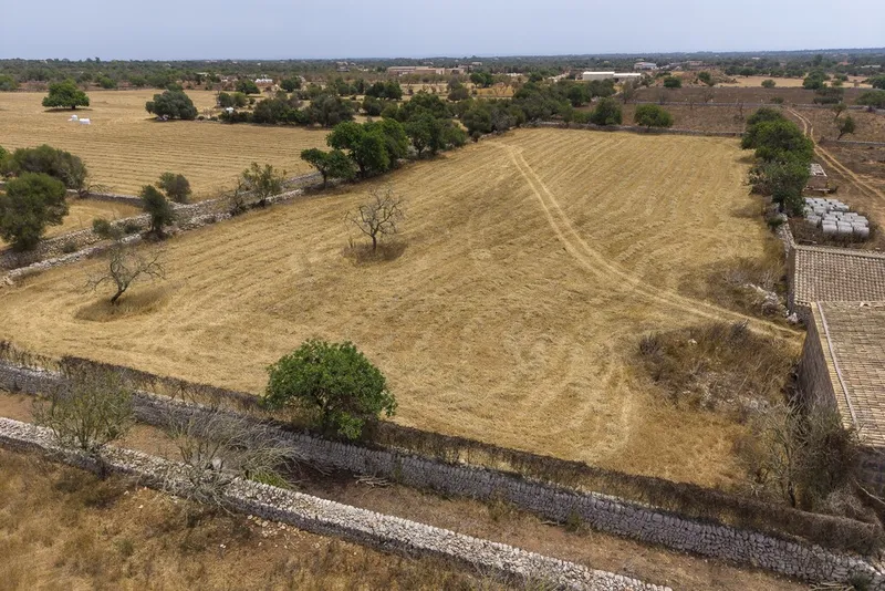 Top quality plot for sale in Santanyi with private pool and sea views — photo 1