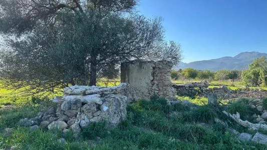 Plot of land - Selva, Plot Surface 14711m² — photo 7