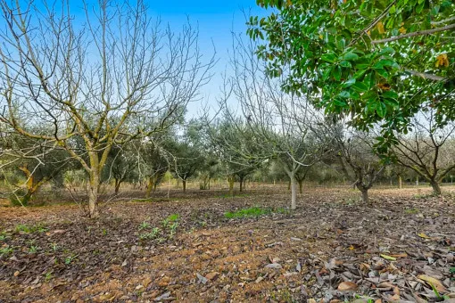 Manacor, charming finca with pool in a quiet location with panoramic views of nature in Son Mas — photo 12