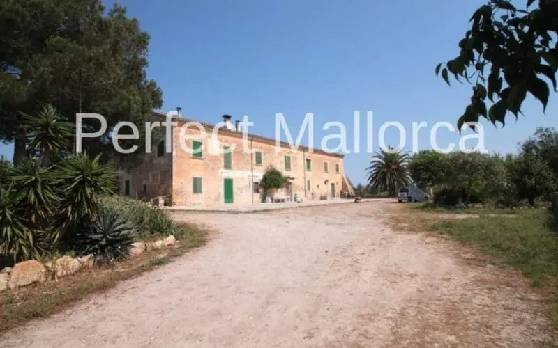 Majorcan country estate near Villafranca de Bonany — photo 6