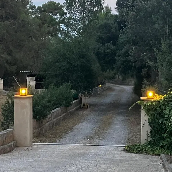 Spacious renovated finca — photo 3