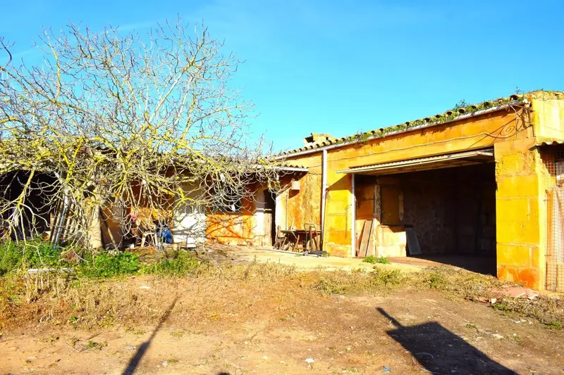 Rustic finca in Muro with 14,196 m2 of land and open views of the Serra de Tramuntana, in a quiet setting with great potential. — photo 3