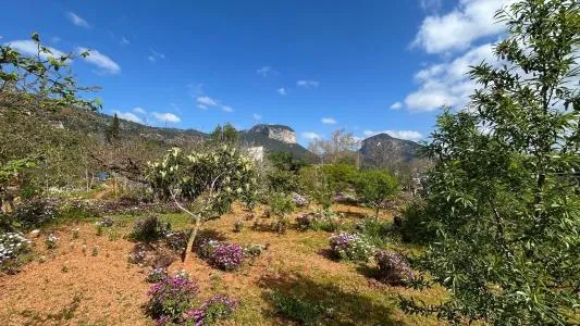 Rustic property - Alaró, Built Surface 61m², Plot Surface 2008m², 1 Bathroom — photo 12