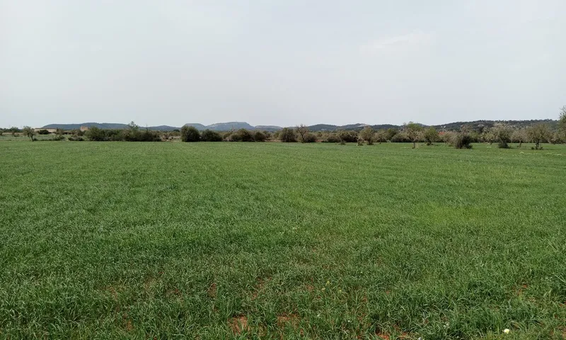 Country Plot in Campos — photo 4