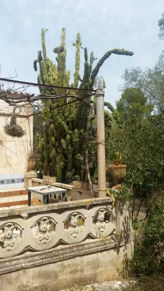 For sale: finca with legalized house, water and electricity — photo 5