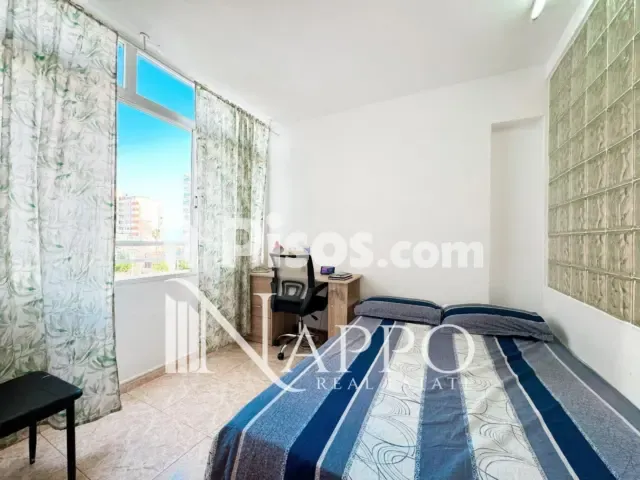 Apartment in Cala Major — photo 1