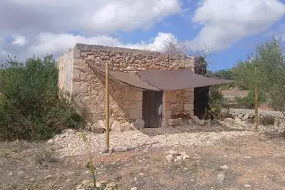 Sale Fincas Manacor — photo 2