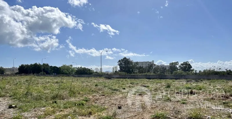 Plot — photo 12
