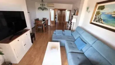 Apartment in Llevant — photo 7