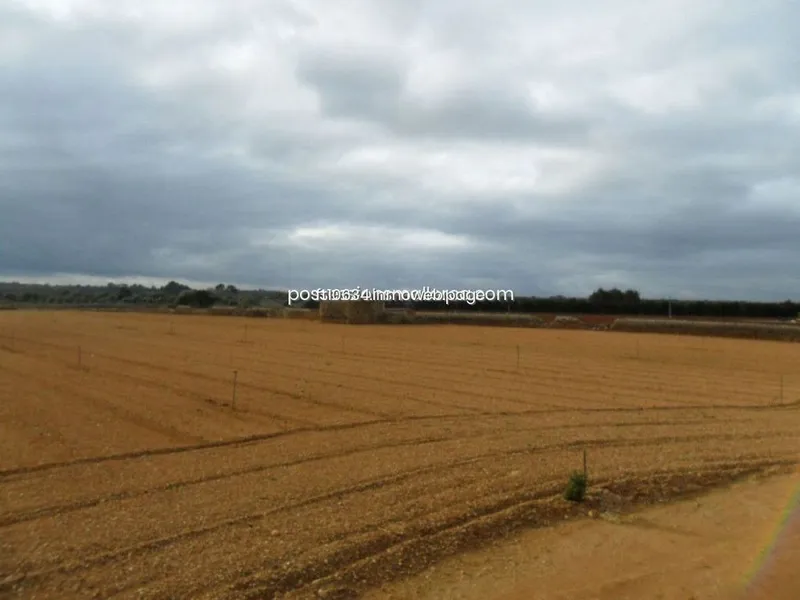 Rural or Farmhouse in Llubí, Province of Balearic Islands — photo 12