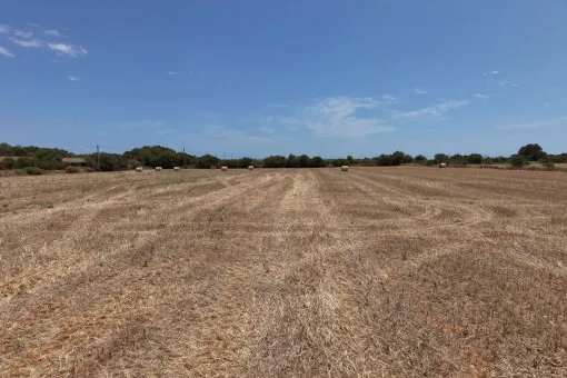 Campos, Attractive Building Plot with Panoramic Open Views near Campos — photo 6