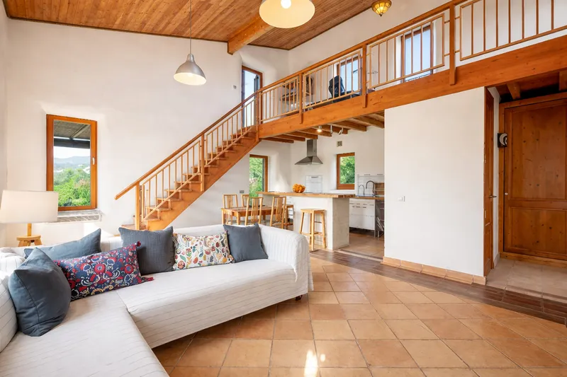 Unique organic finca with tourist license in Selva Mas — photo 2