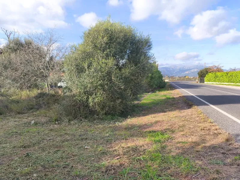 Rustic finca for sale on the outskirts of Inca - with project and valid license — photo 7