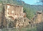 Ref. 970P – Andratx – Finca to renovate — photo 4