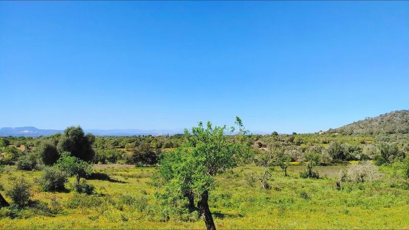 Land in Felanitx, Province of Balearic Islands — photo 3