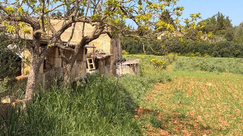 Country plot for sale in Llubí — photo 5