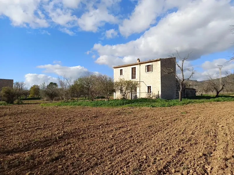 Rustic house in Binissalem — photo 7