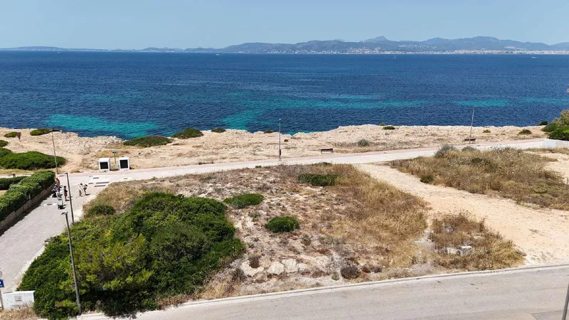Developable Plot on the Front Line in Son Veri — photo 2