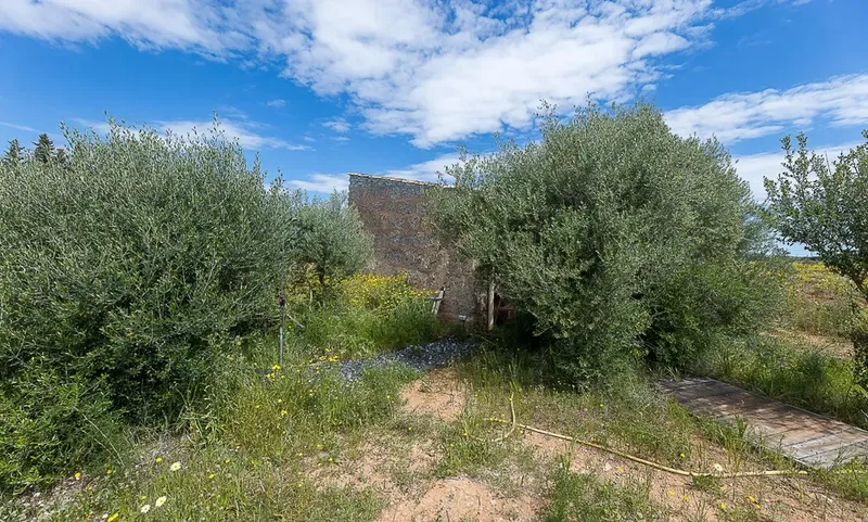 Rustic finca in Santa Maria del Camí — photo 3