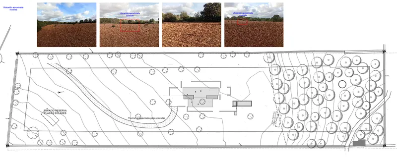 Rustic plot with license in Felanitx — photo 10