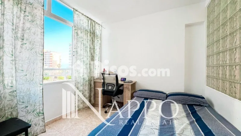 Apartment in Cala Major — photo 2