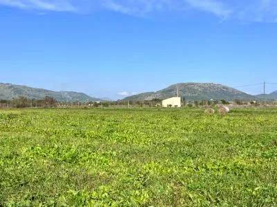 Rustic property - Sa Pobla (Pobla (Sa)), Built Surface 97m², Plot Surface 9153m², 1 Room — photo 3