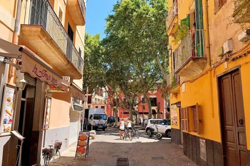 Palma City, furnished apartment with 2 bedrooms in the old town in Palma — photo 2