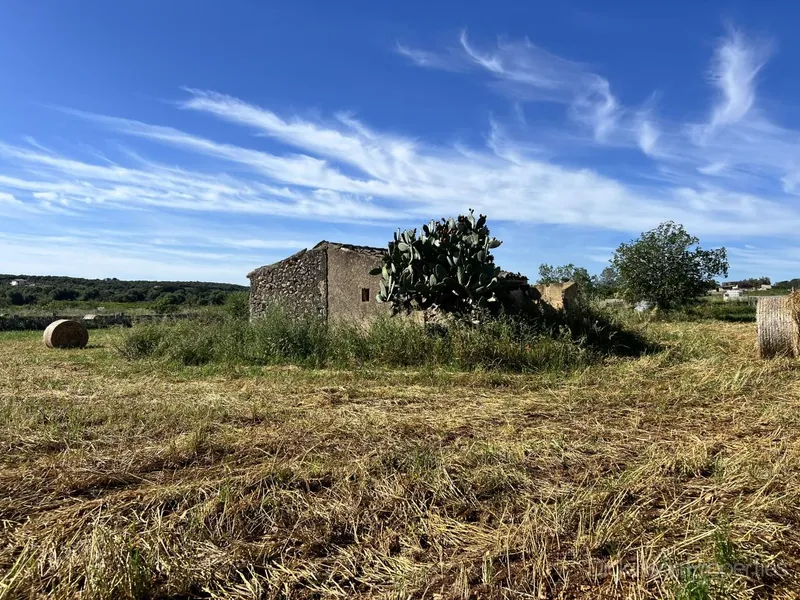 Land for sale in Ariany, Mallorca, Baleares, Spain — photo 5