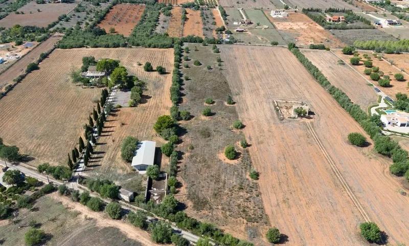 Rustic plot in Algaida — photo 4
