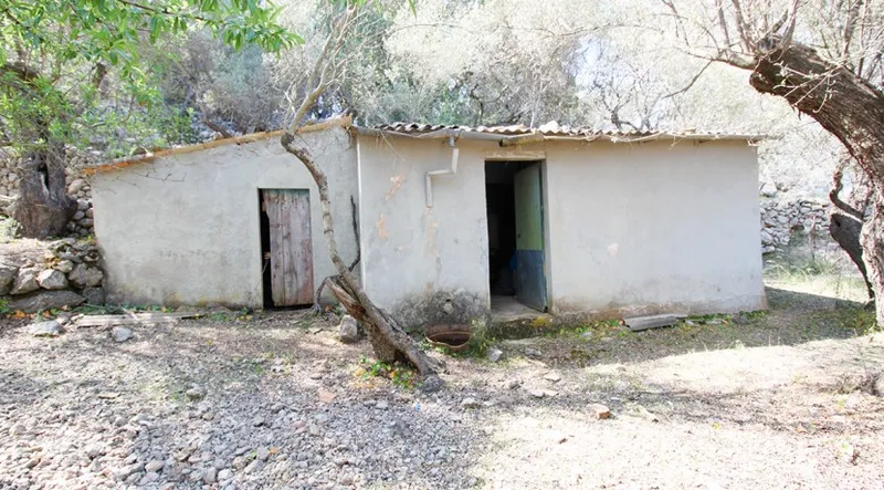 Reduced!!! Olive grove with stunning views of the Port of Sóller — photo 2