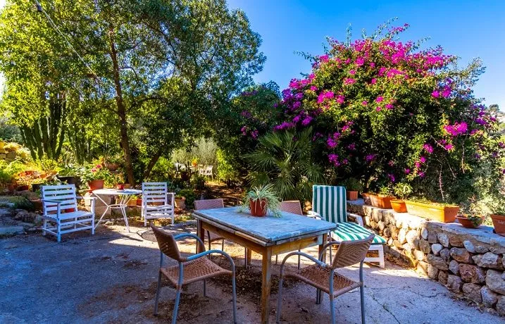 Mallorcan finca in idyllic area of Soller — photo 6