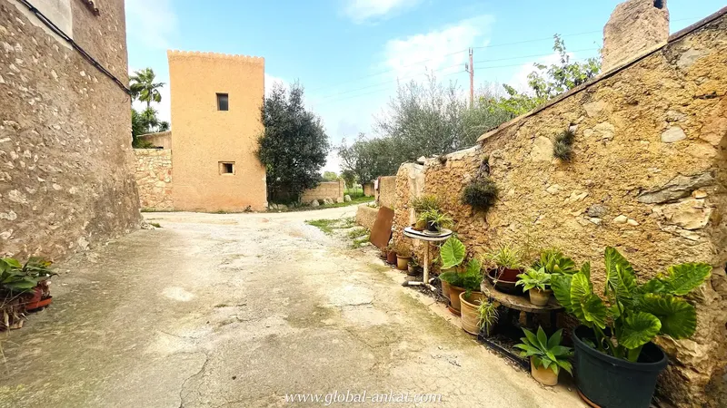 Immerse yourself in the authenticity of Mallorca in this charming estate, located in the picturesque village of Cas Concos. With an area of 16.9 — photo 9