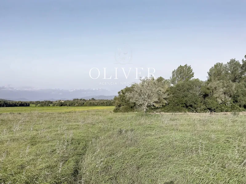 Large plot with views in Sencelles — photo 11
