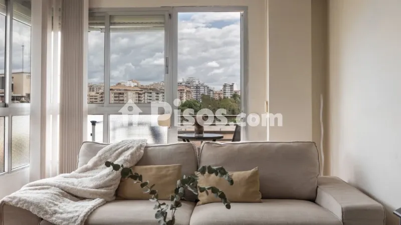 Apartment in El Fortí — photo 4