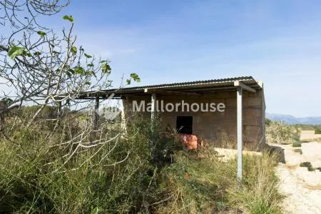 Urbanizable land - Llubí (Llubi), Plot Surface 25600m², Distance to the sea 15 Km. — photo 1